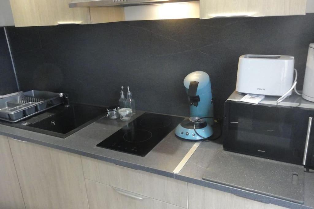 Apartmán Le Belvedere Dernier Etage Avec Terrasse Wifi Fibre Tarbes Exteriér fotografie