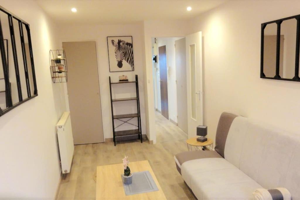 Apartmán Le Belvedere Dernier Etage Avec Terrasse Wifi Fibre Tarbes Exteriér fotografie